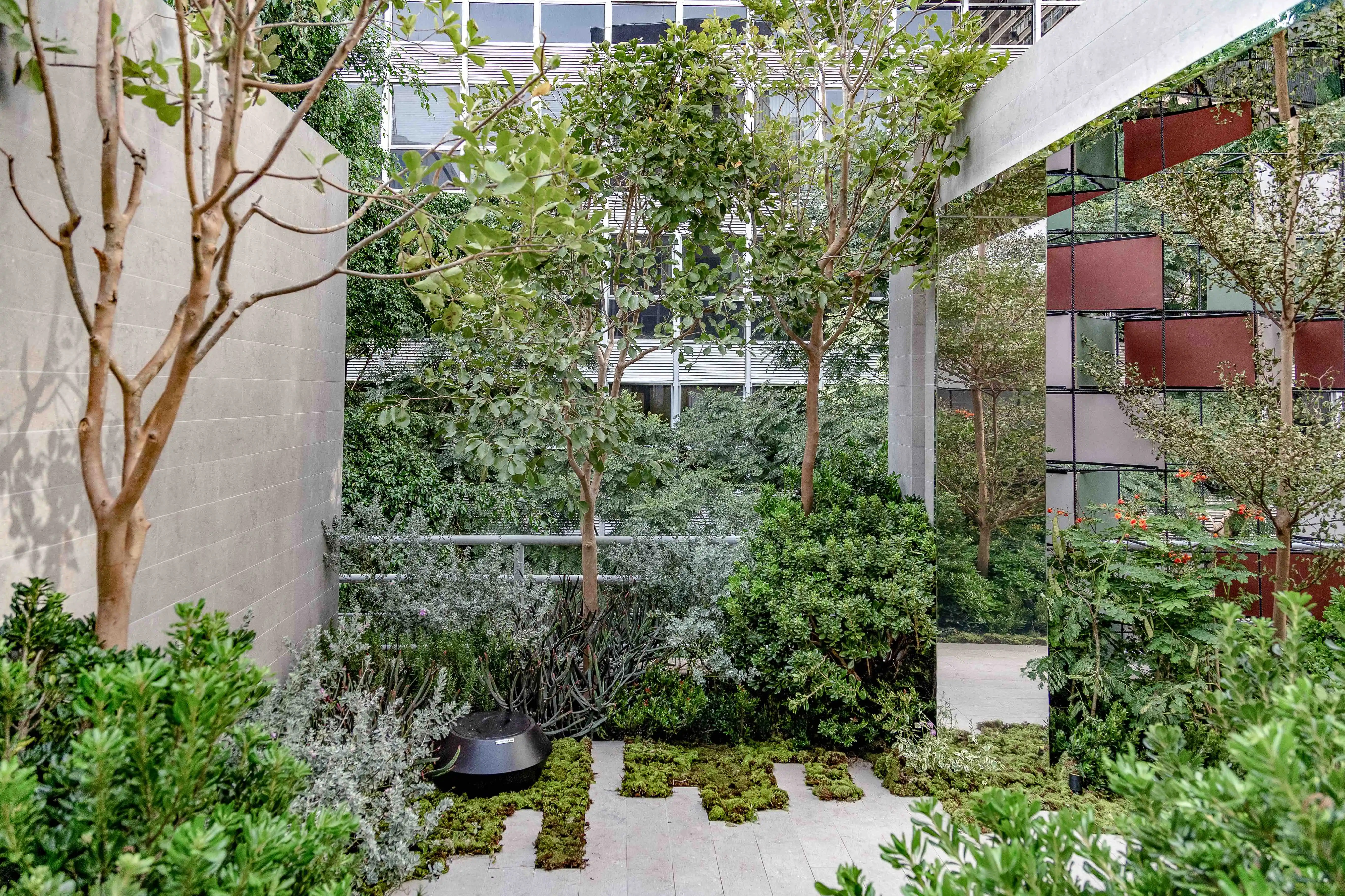 ferramentas para projetar jardins