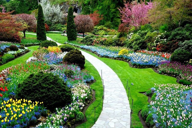 inspiração para projetos de paisagismo
