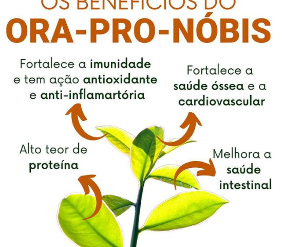 para que serve ora pro nobis