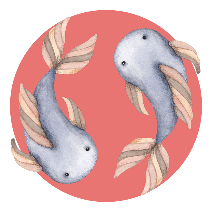 erros comuns ao escolher cores para peixes