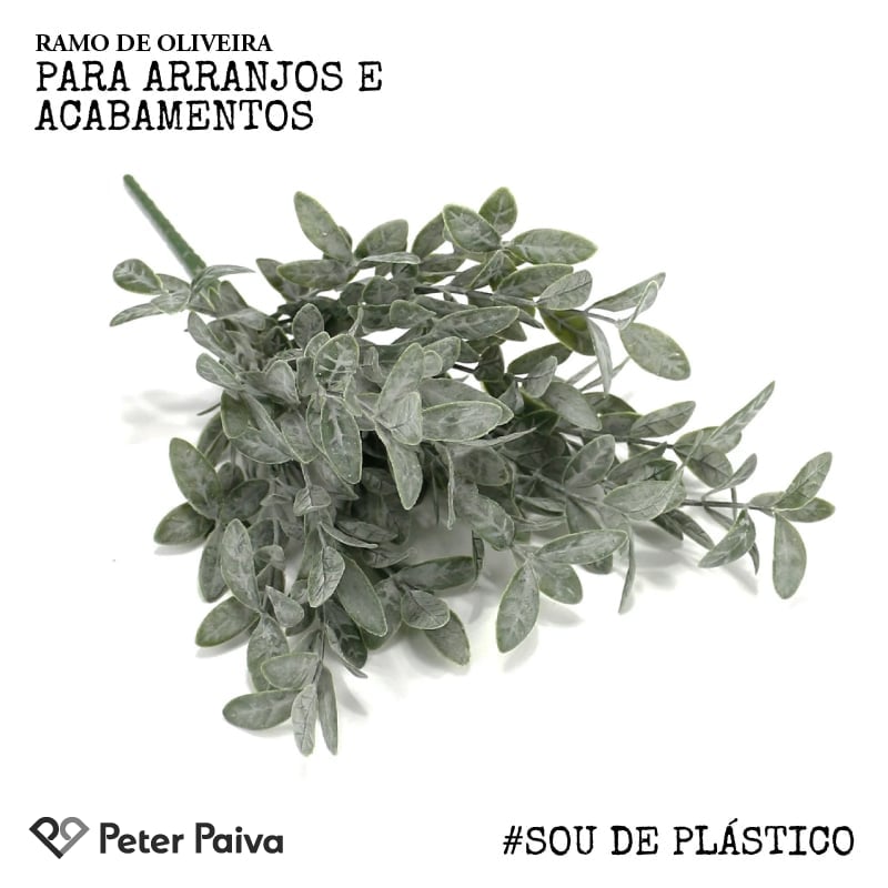 erros comuns ao interpretar o ramo de oliveira