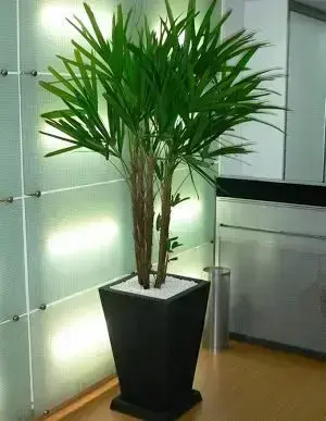 ideias de decoração com raphia natural