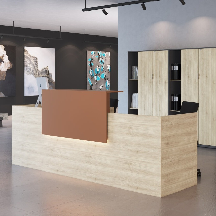 ideias criativas decoração recepção escritório