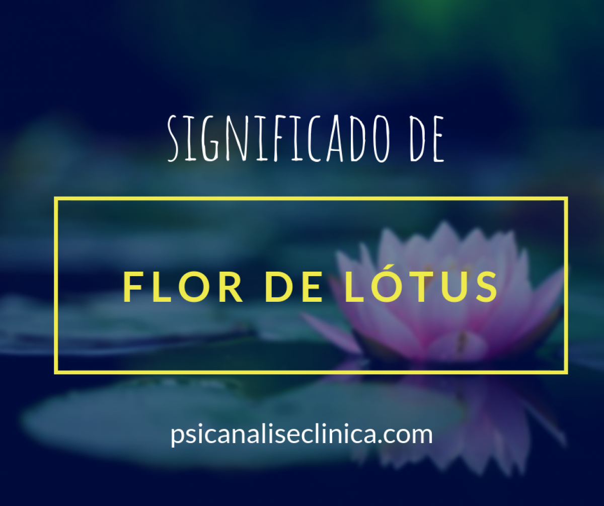 significado das rosas