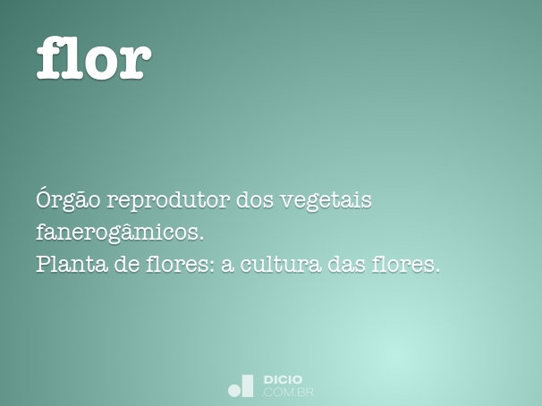 significado dos cravos