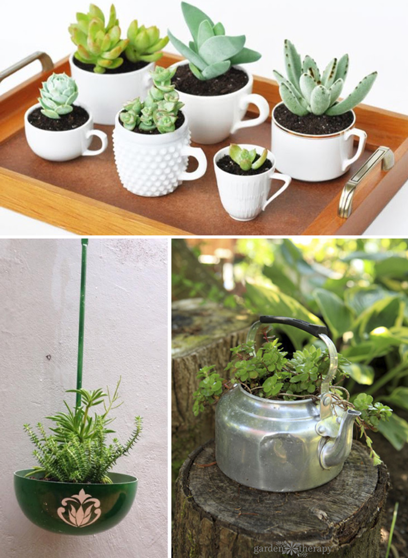 melhores ideias decoração suculentas ambientes pequenos