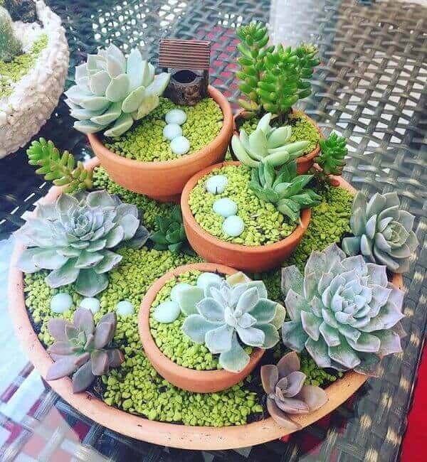 suculentas ideais para decorar banheiro sem luz