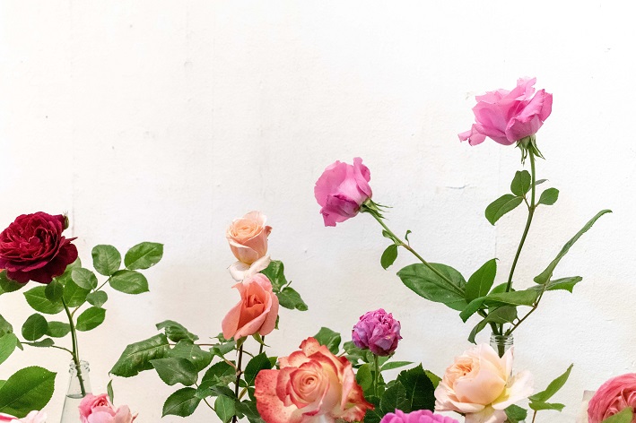 rosas para apartamento