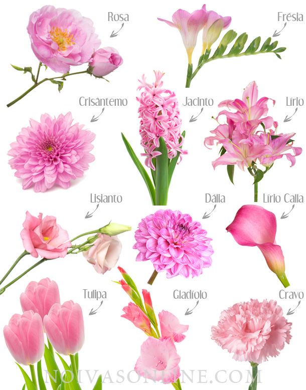 classificação de rosas por formato de flor