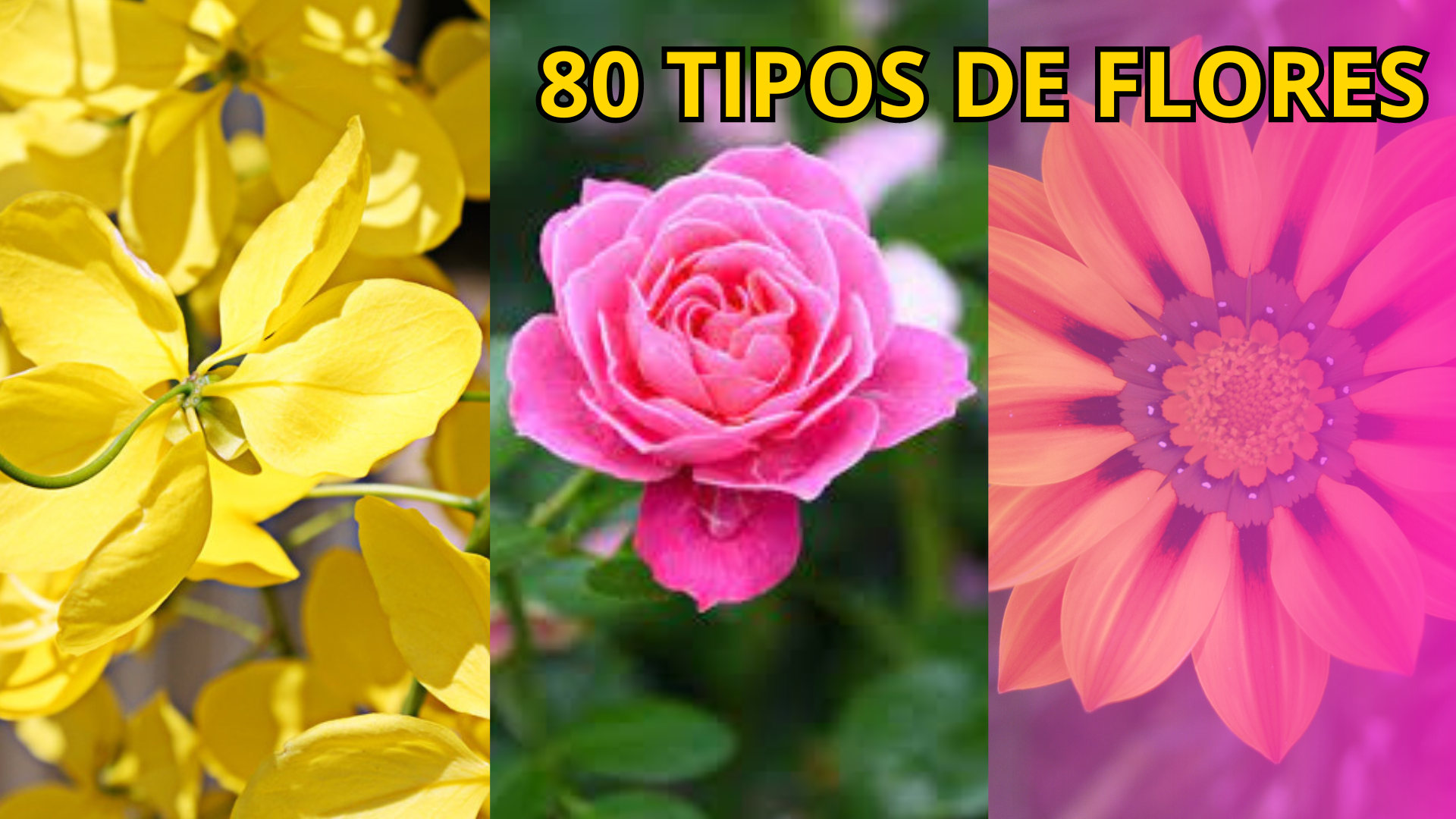 flores para plantar