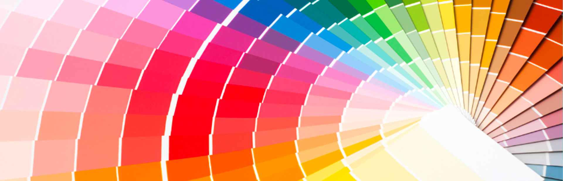 paleta de cores monocromática