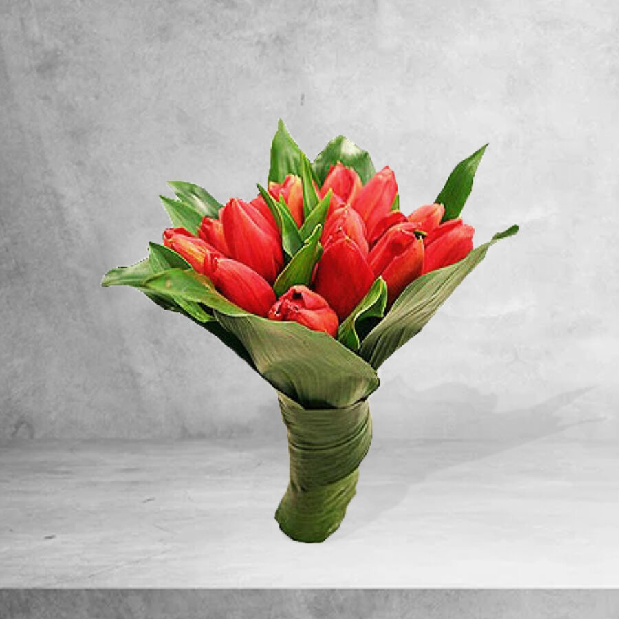 como escolher a tulipa vermelha perfeita para presentear