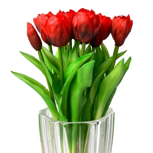 erros comuns ao cuidar de tulipas vermelhas em vasos