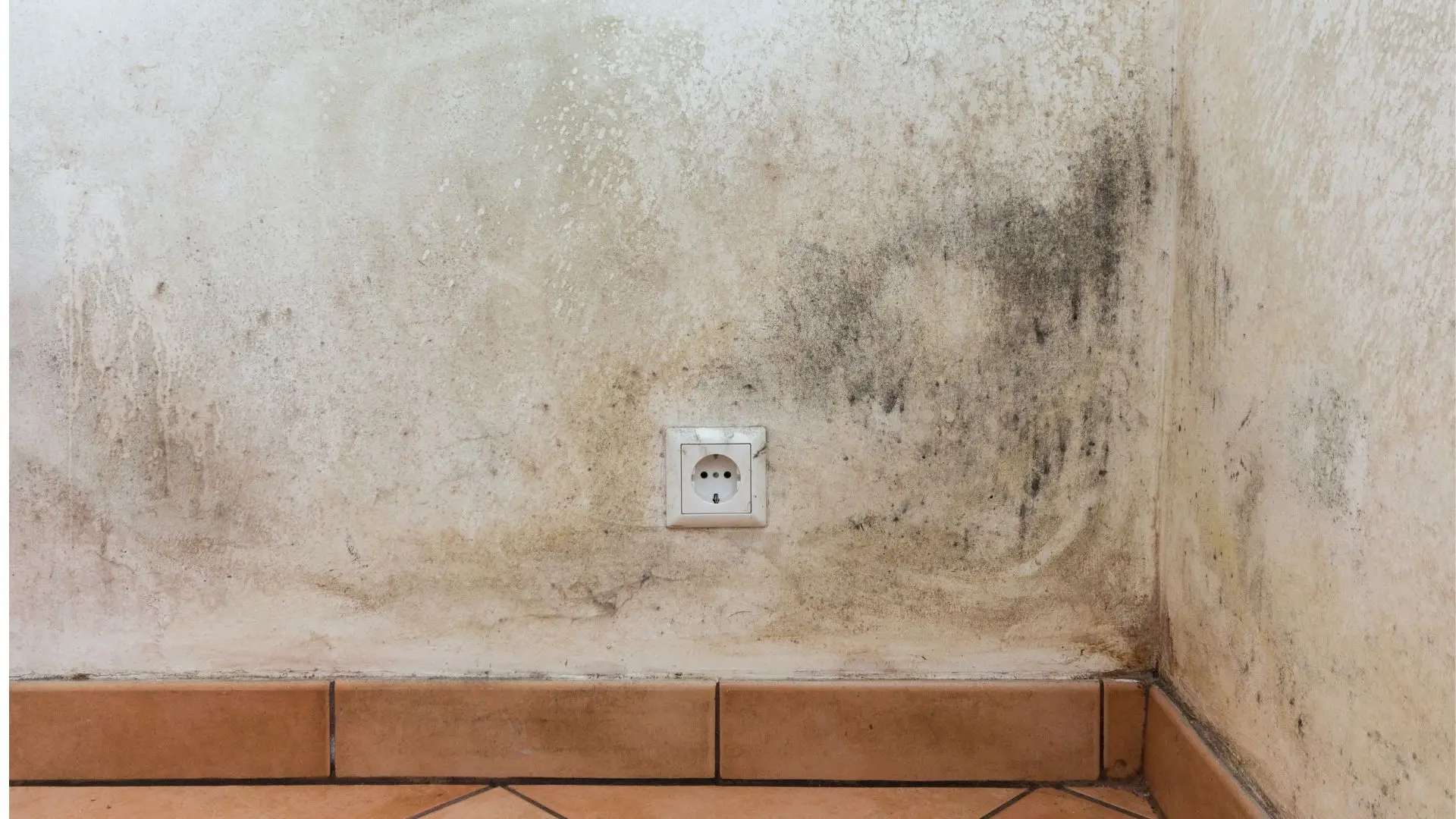 umidade dentro de casa