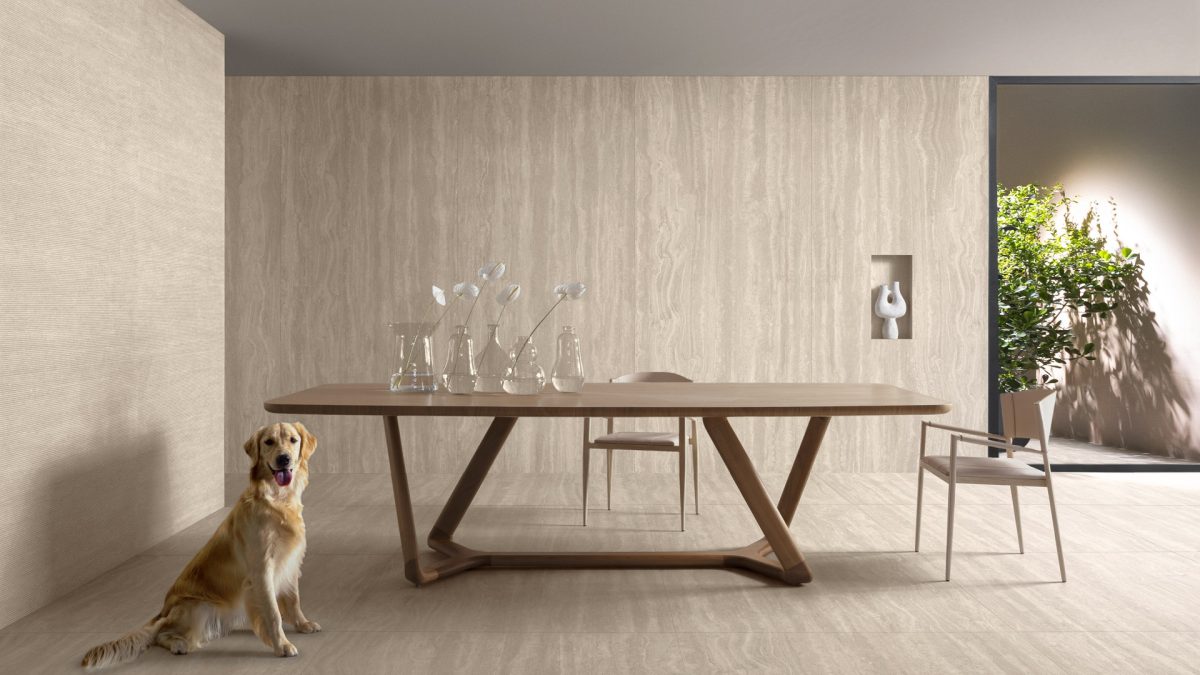 como criar um ambiente com umidade ideal em casa