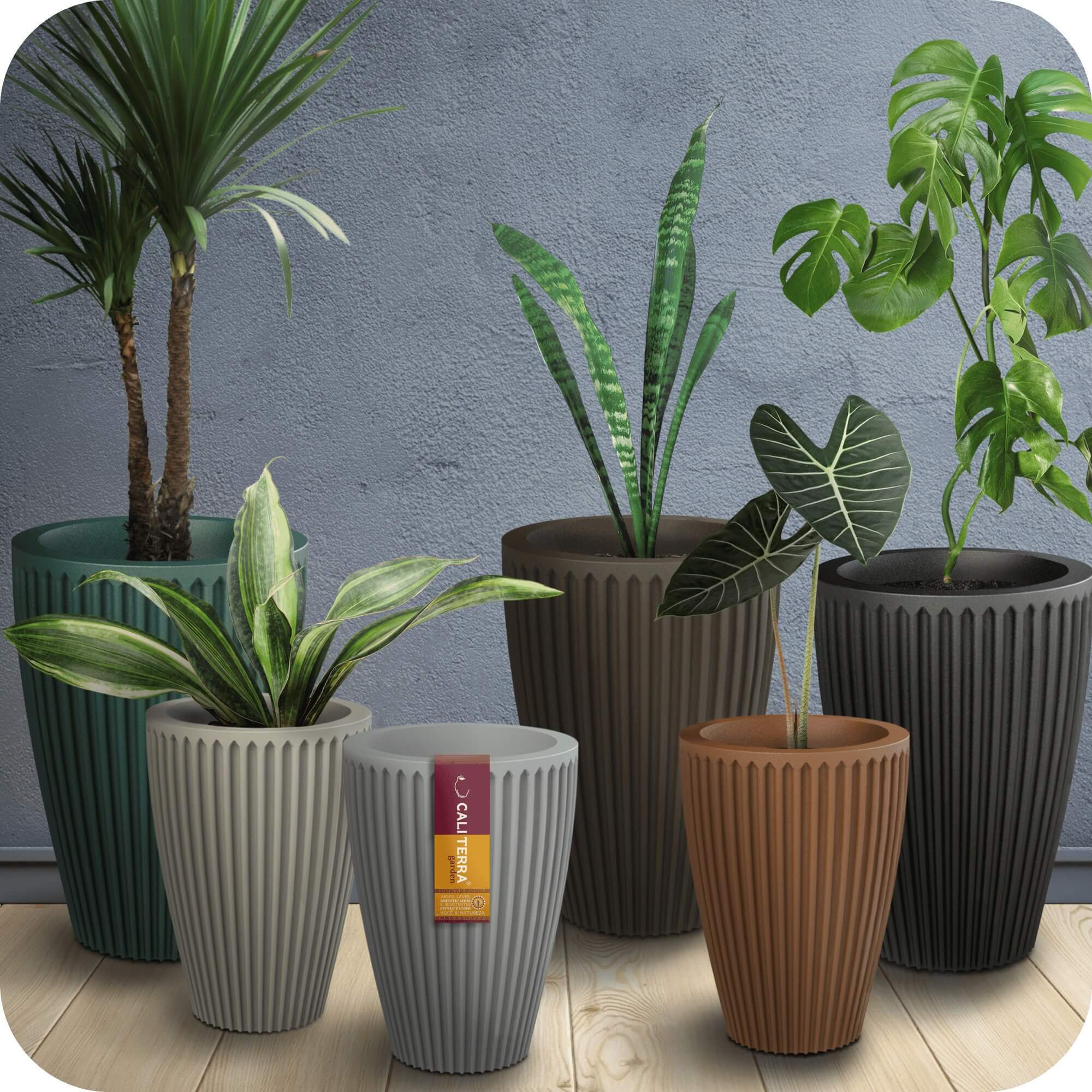 ideias de decoração com vasinhos de planta para sala pequena