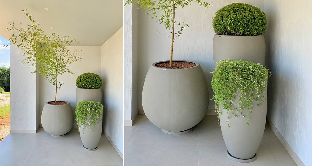 vasinho de planta para decoração