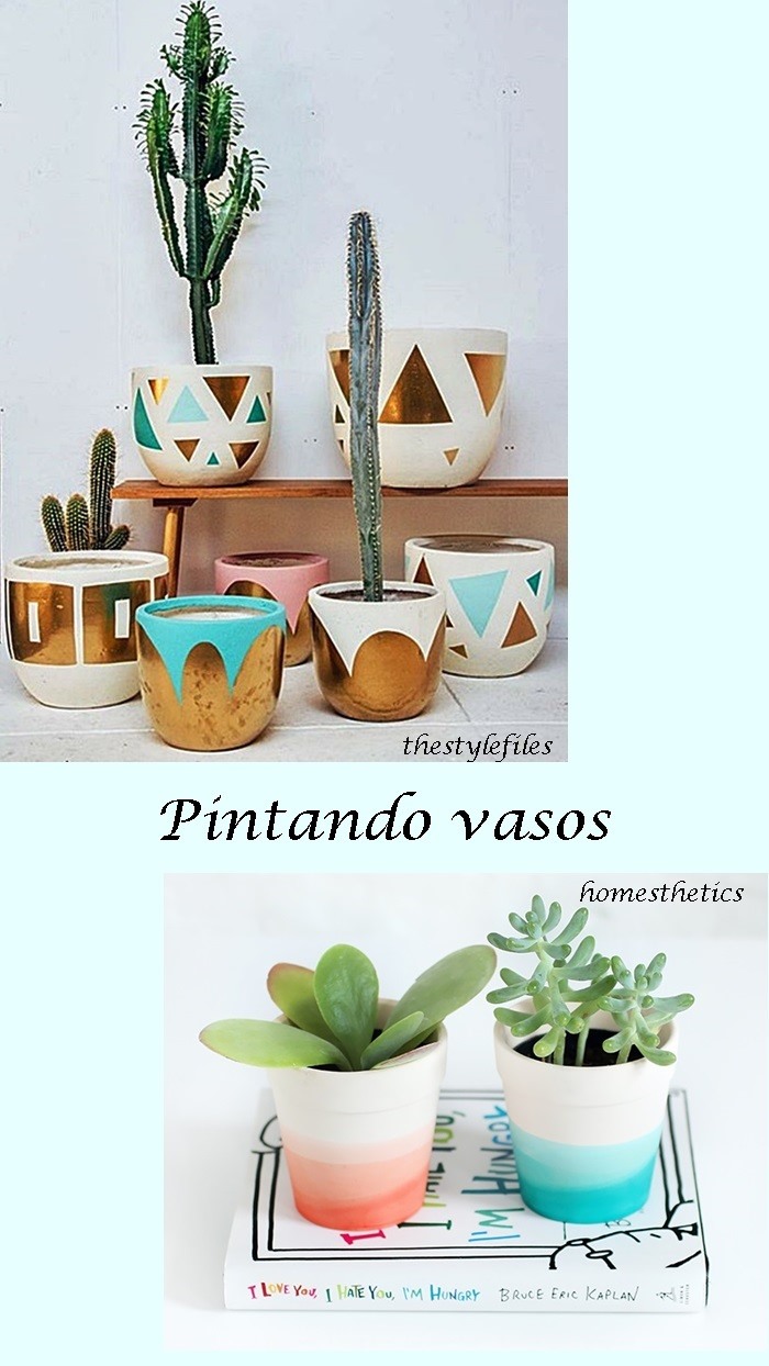 vasinho de planta para decoração