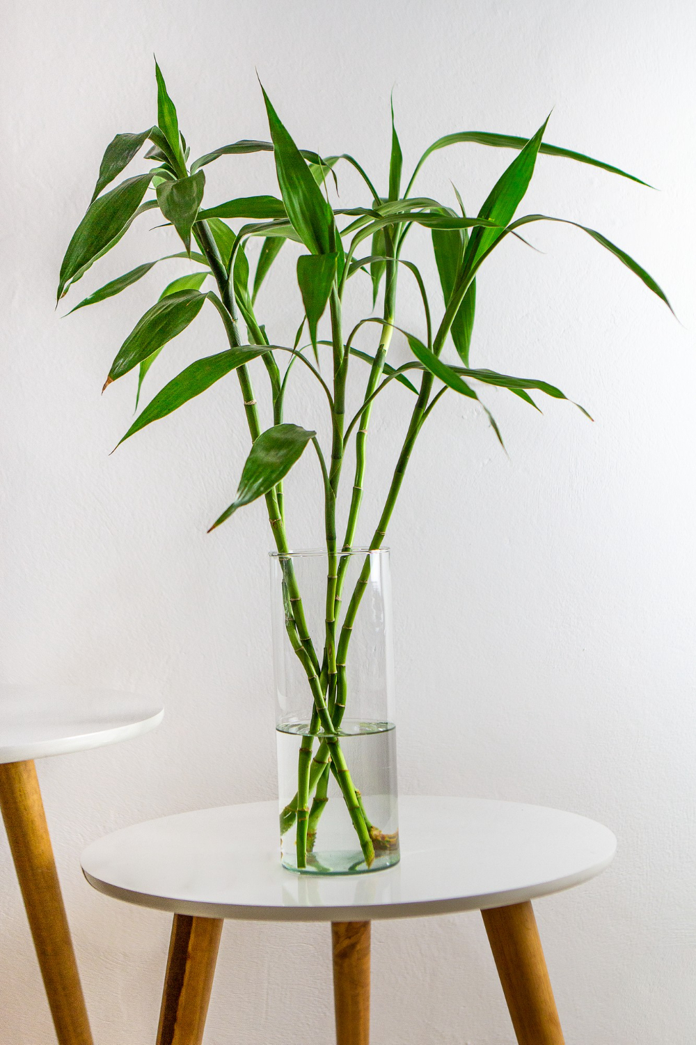 ideias de decoração com vasinhos de planta para sala pequena