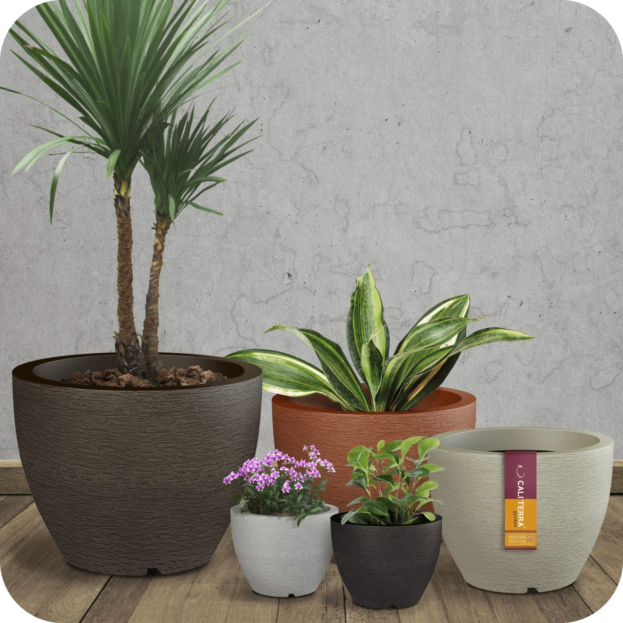 plantas ideais vaso cinza alto