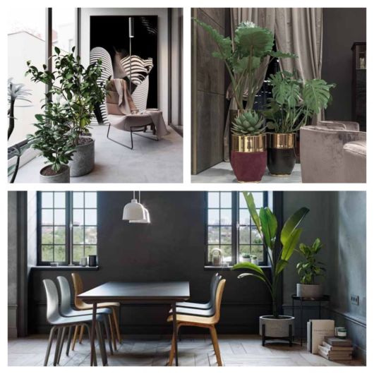 vaso cinza cerâmica vs cimento