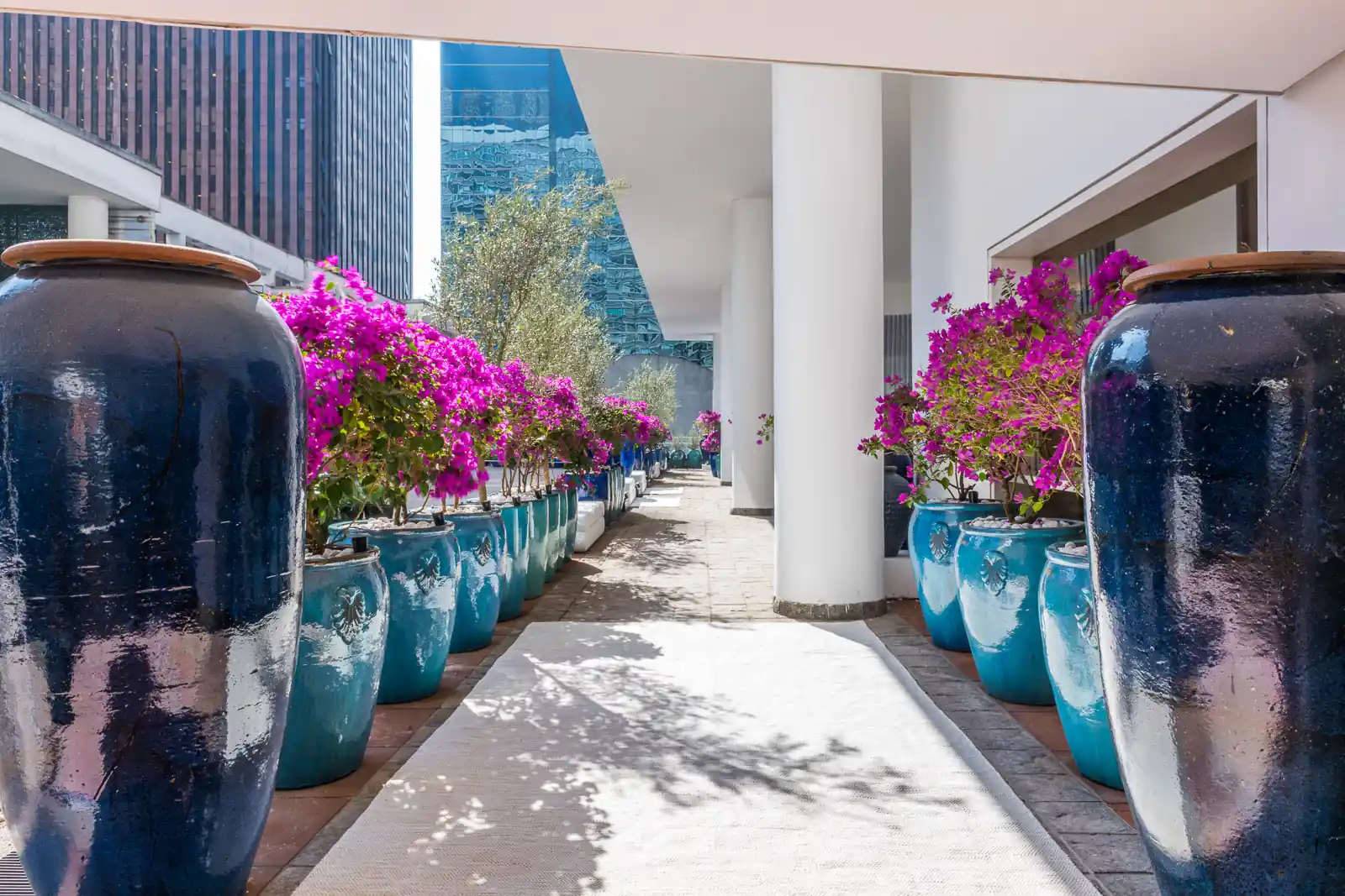 erros comuns ao escolher vaso para planta