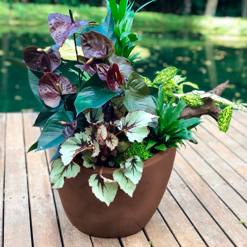 vaso de barro vs vaso de plastico para plantas