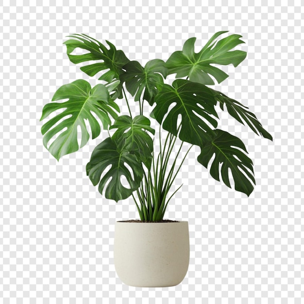 ícone vaso de planta png