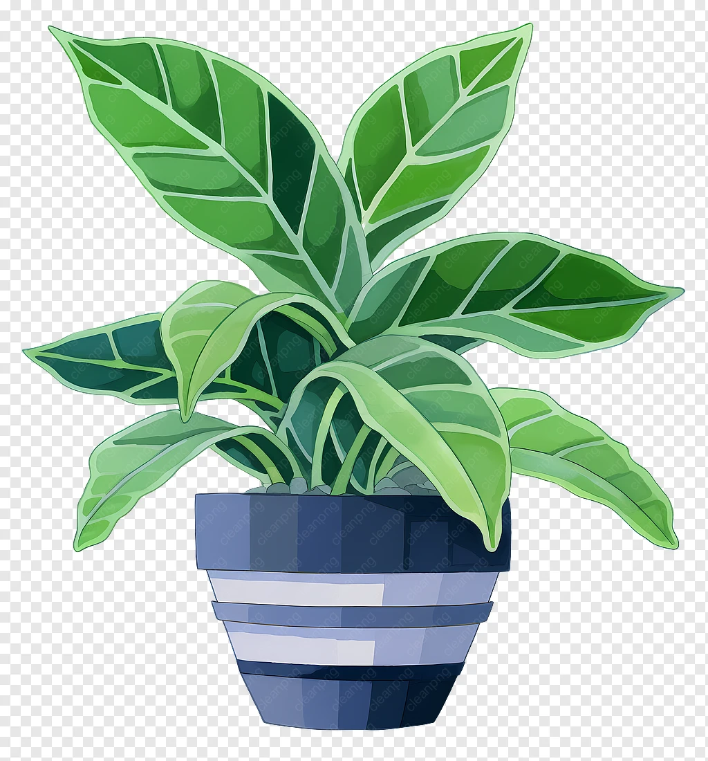 imagem vaso de planta fundo transparente