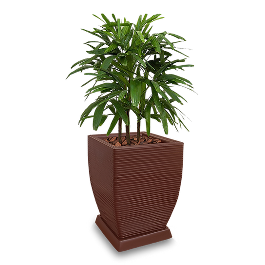 vaso de flor png