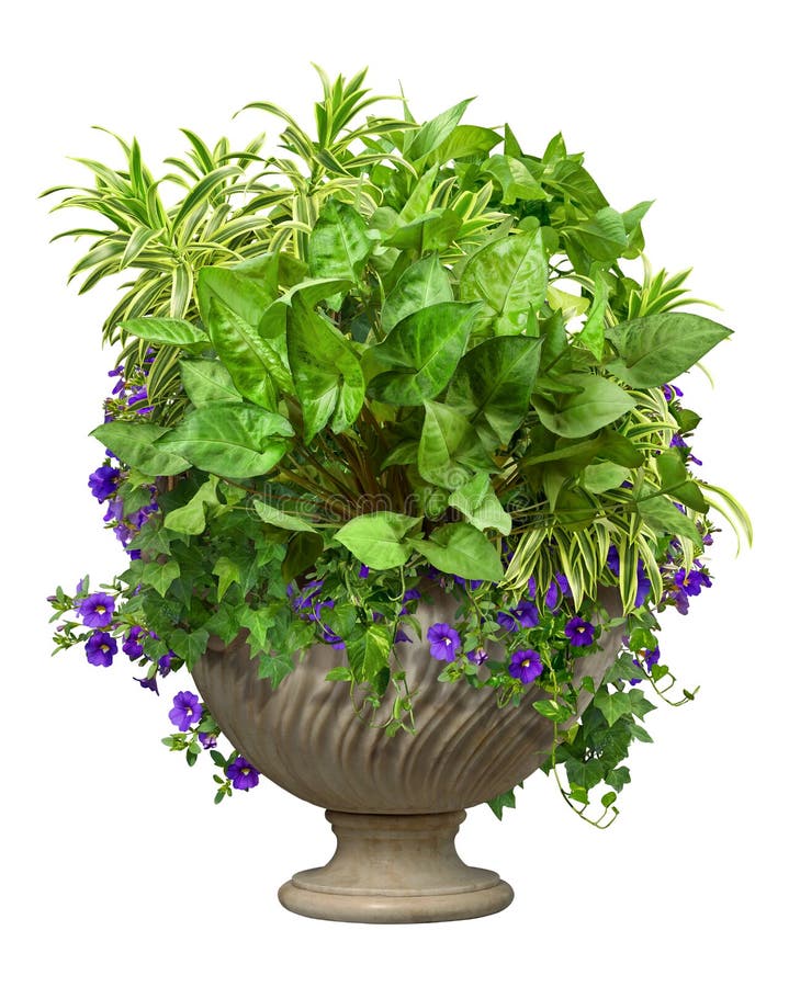 vaso moderno png