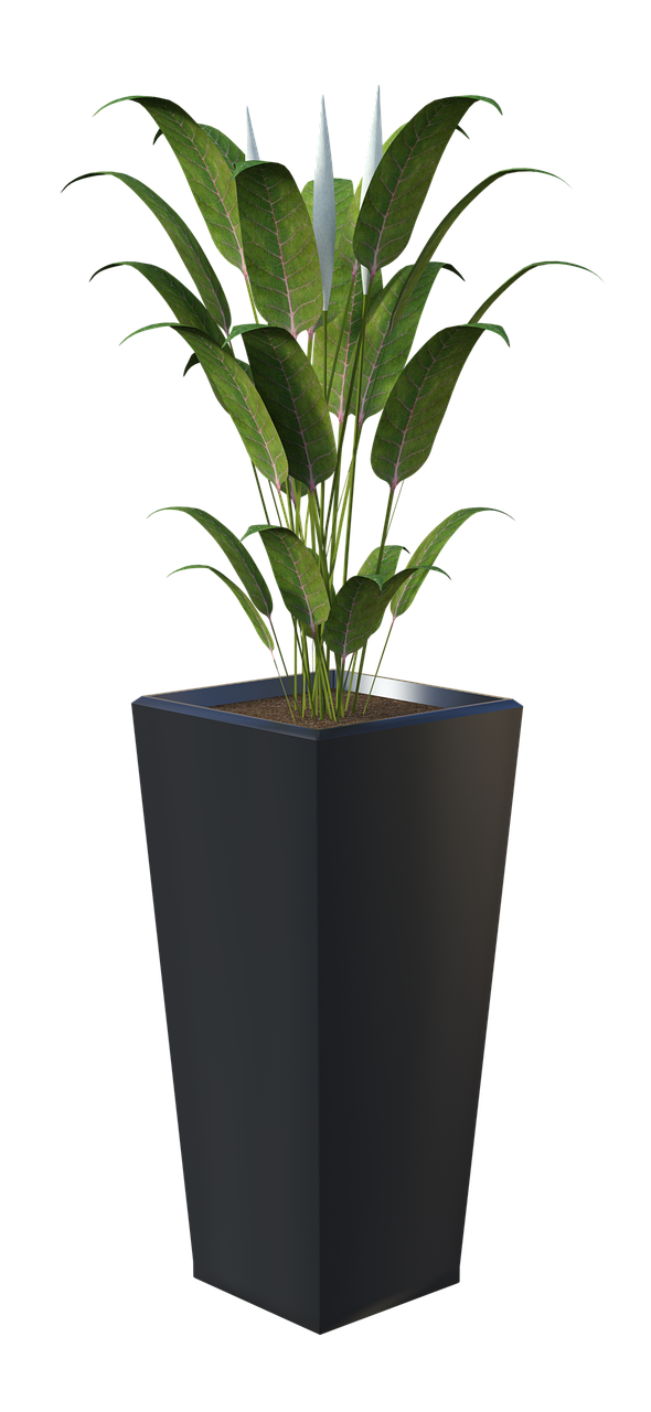 vaso de flor png