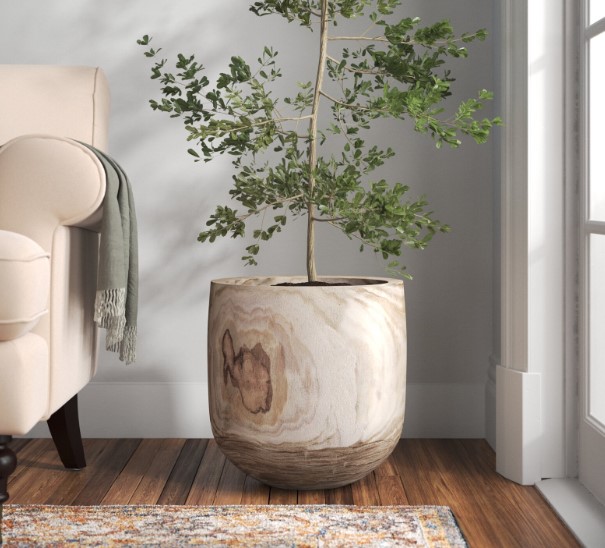 vaso de chão grande para sala