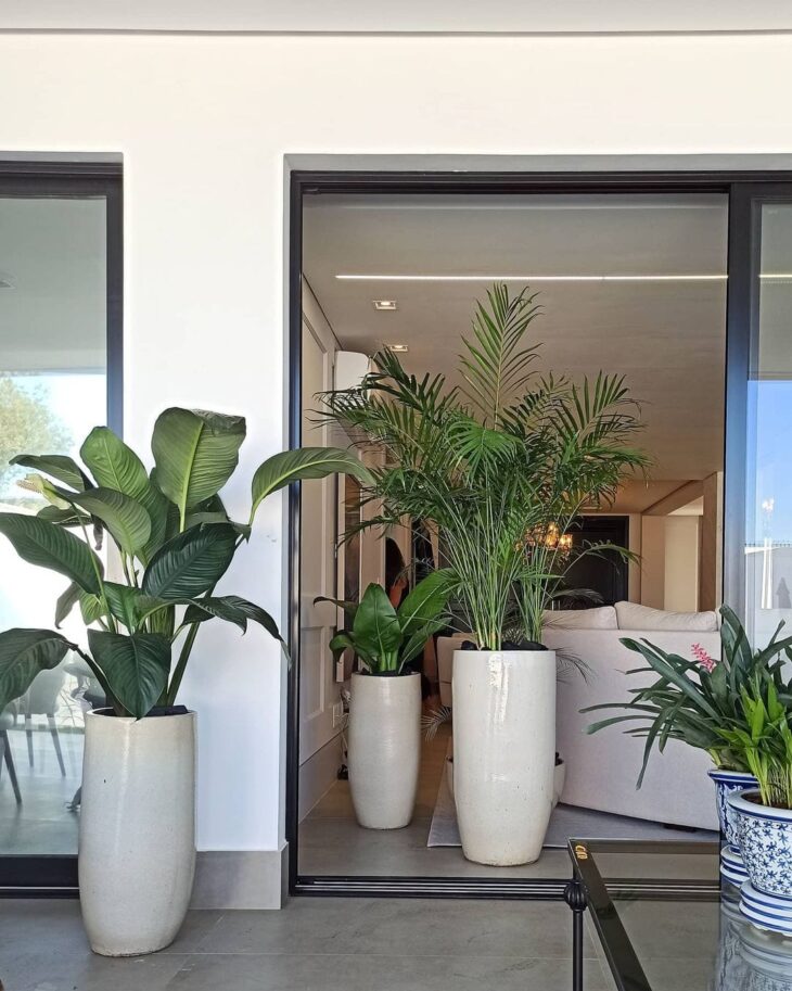 vaso de cerâmica grande para sala