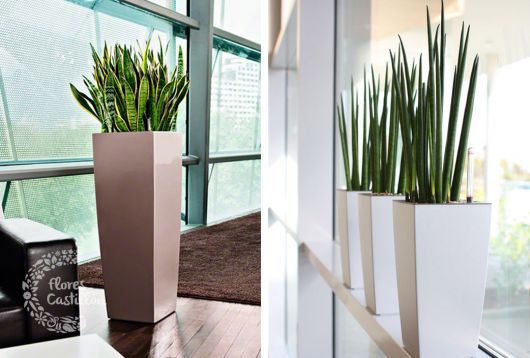 vaso vietnamita grande para sala