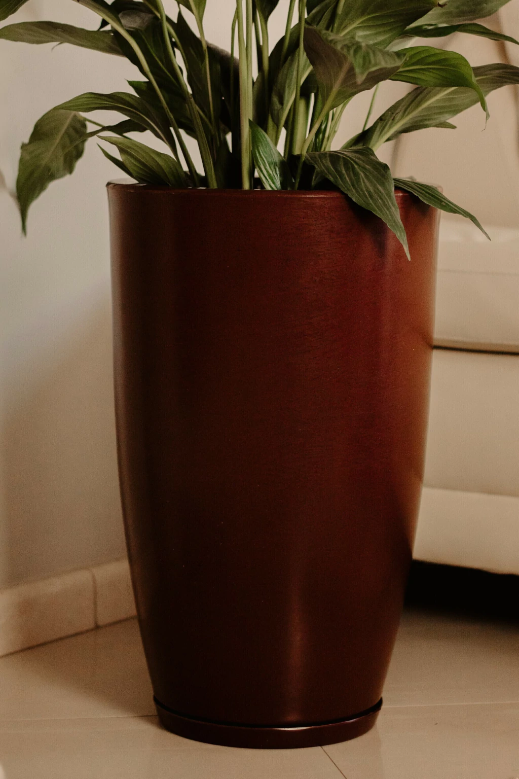 vaso grande para plantas de sala