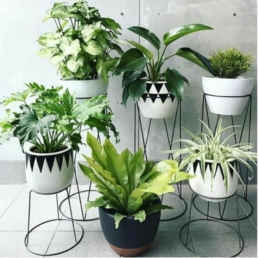 vaso para decoração