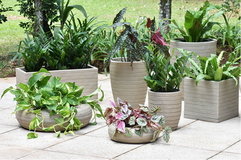 vaso para decoração