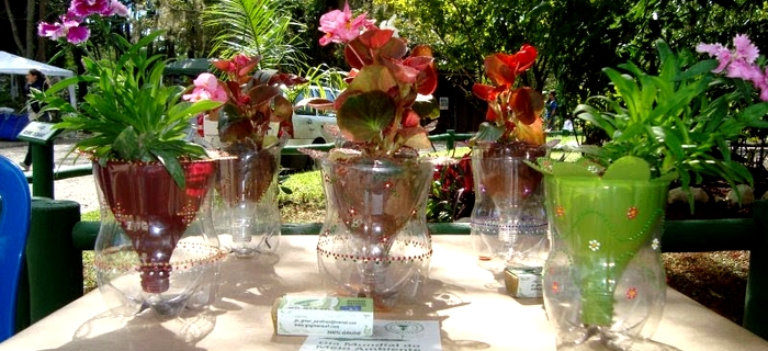 vasos de garrafa pet para decoração