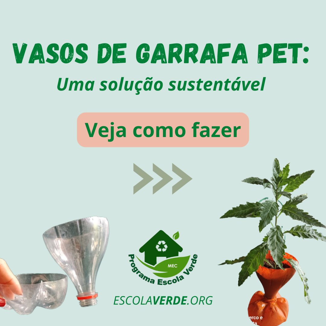 vasos de garrafa pet para decoração
