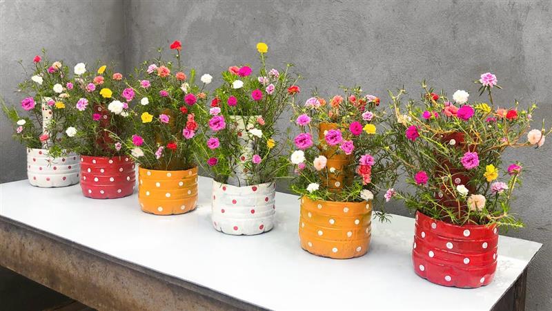 vasos de garrafa pet para decoração