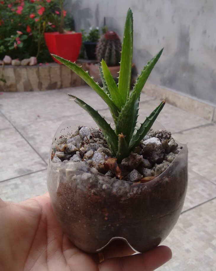 vasos de garrafa pet para decoração