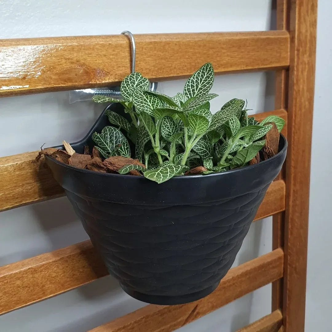 vaso de parede para horta vertical