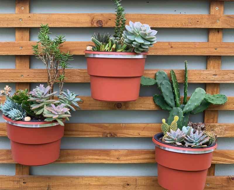 vasos biodegradáveis