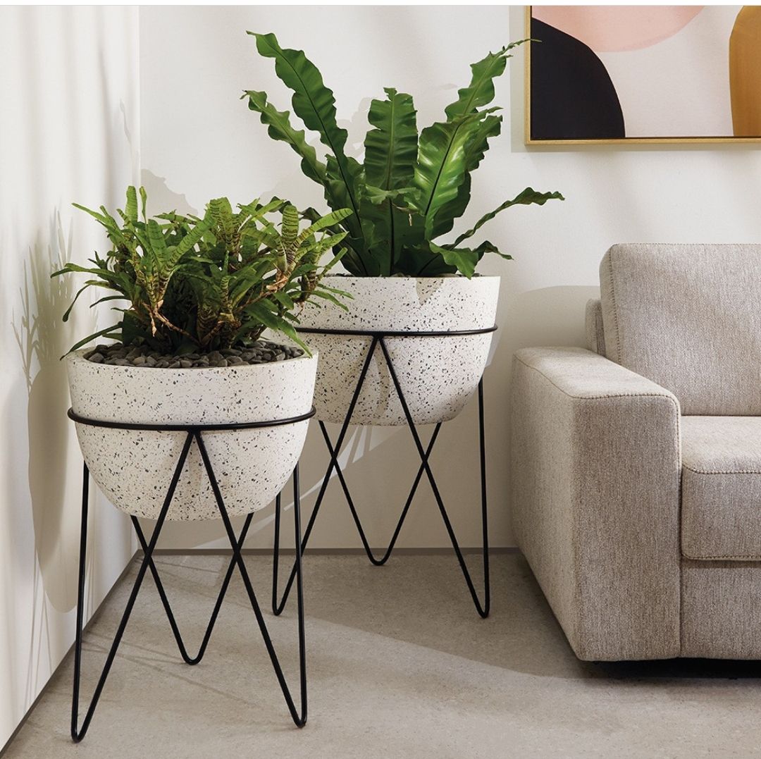 vasos para suculentas