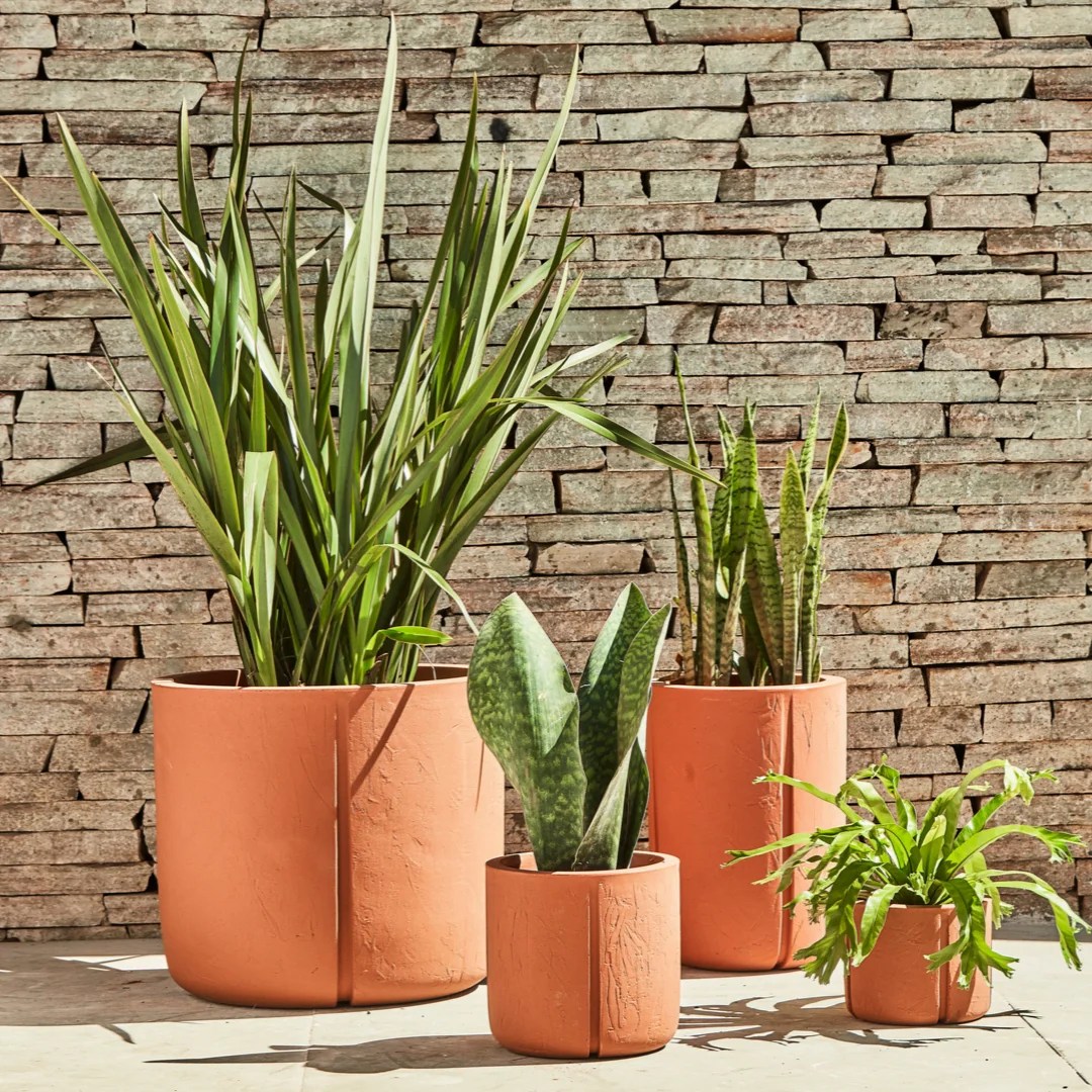 vasos para samambaias