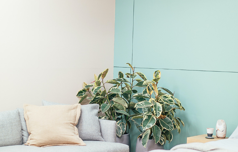 erros comuns ao usar verde agua na decoração