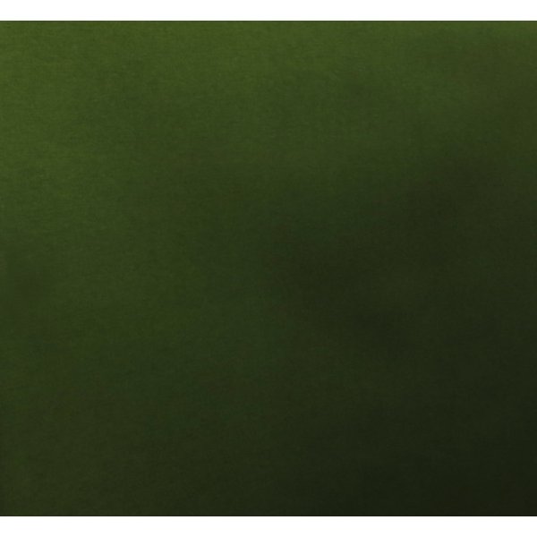 paleta verde musgo