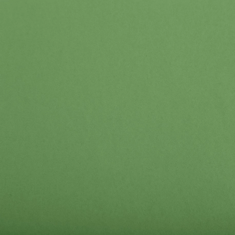 verde oliva escuro