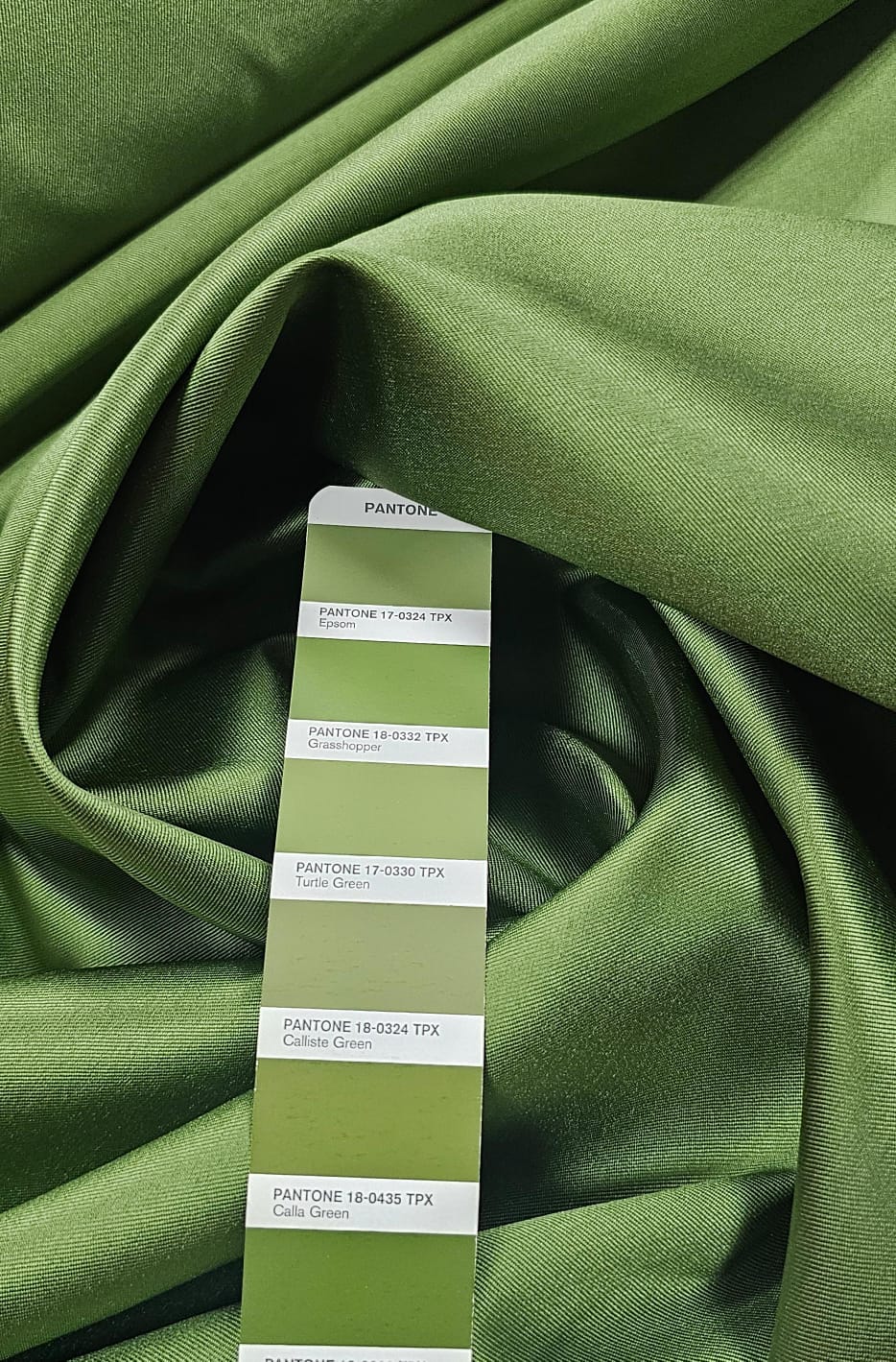 verde caqui